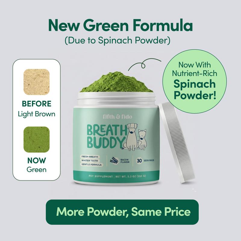 Breath Buddy Dental Powder