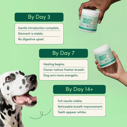 Breath Buddy Dental Powder