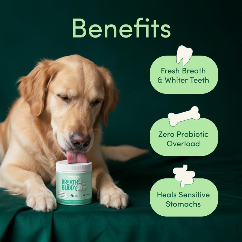 Breath Buddy Dental Powder