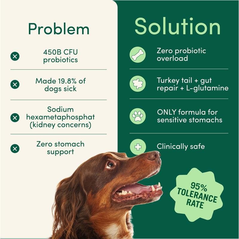 Breath Buddy Dental Powder