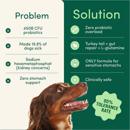 Breath Buddy Dental Powder