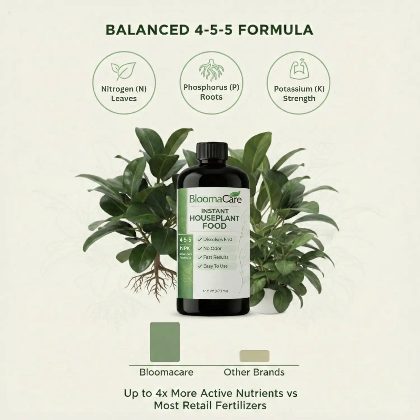 Natural Houseplant Food
