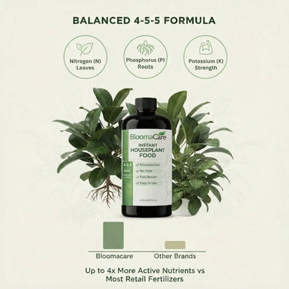 Natural Houseplant Food